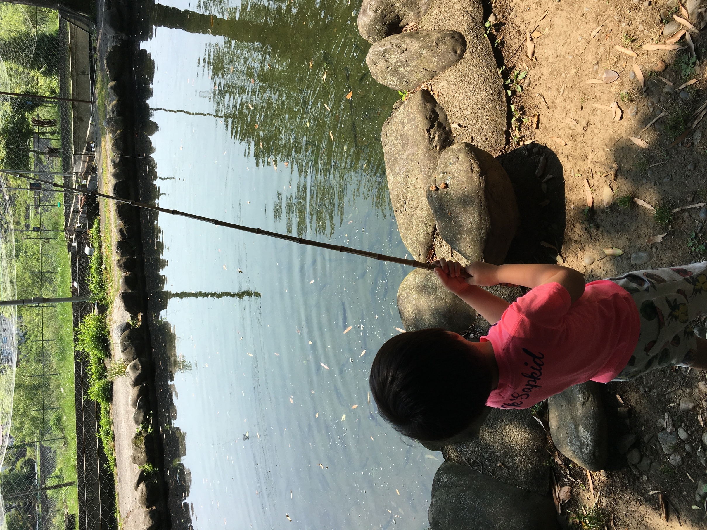 �ł��I�撣��I�Ж삭��_(^o^)�^