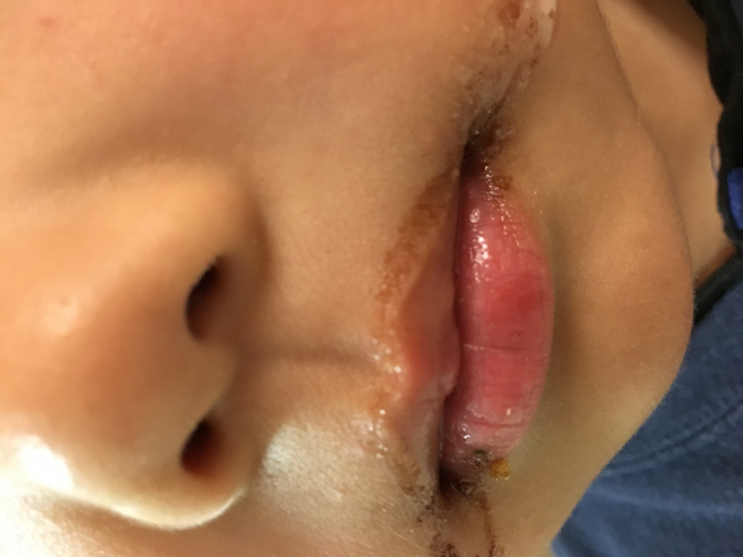 �ł��I�撣��I�Ж삭��_(^o^)�^