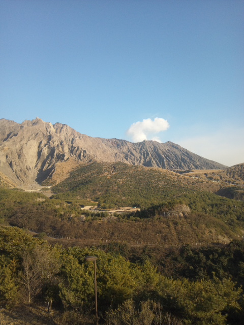 �ł��I�撣��I�Ж삭��_(^o^)�^