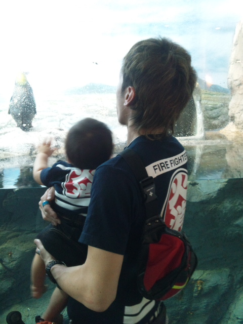 �ł��I�撣��I�Ж삭��_(^o^)�^