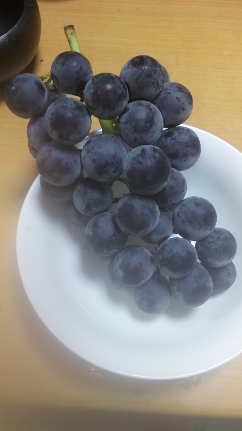 �ł��I�撣��I�Ж삭��_(^o^)�^