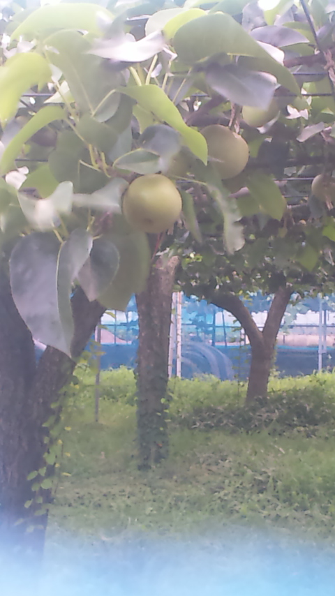 �ł��I�撣��I�Ж삭��_(^o^)�^