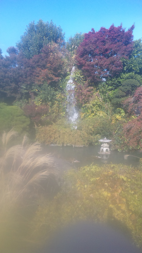 �ł��I�撣��I�Ж삭��_(^o^)�^