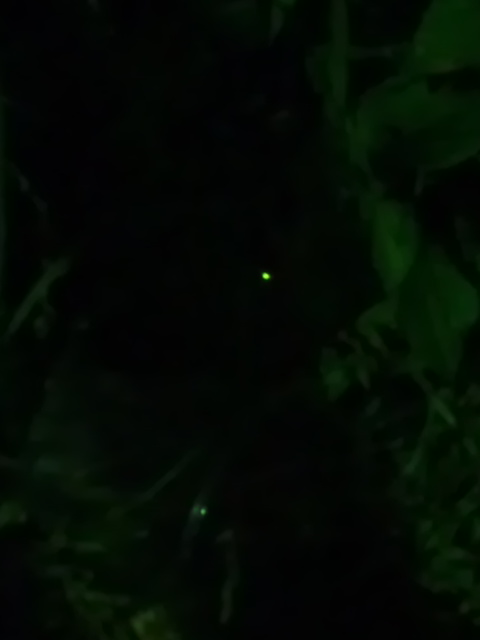 �ł��I�撣��I�Ж삭��_(^o^)�^