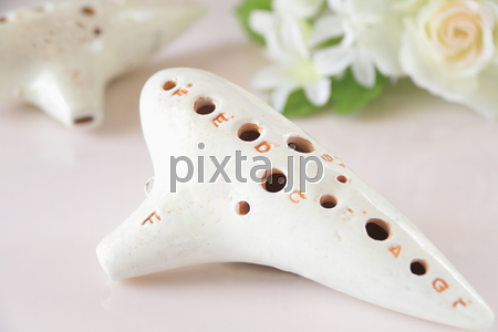 ��]�̕���