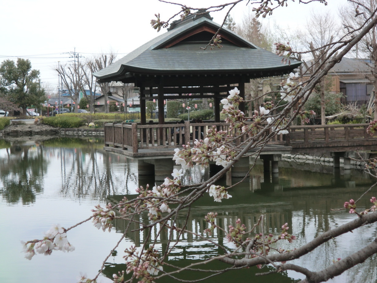 ��]�̕���