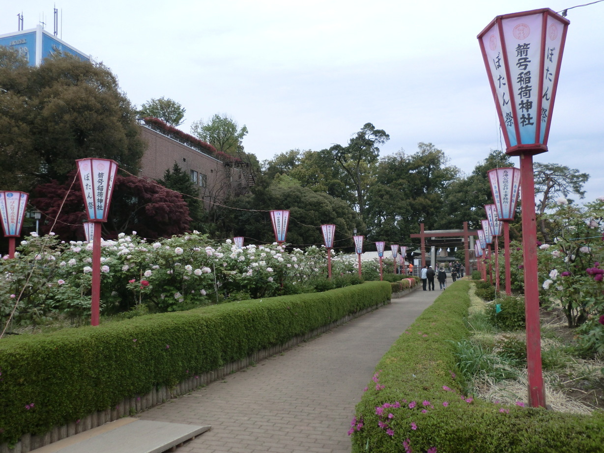 ��]�̕���