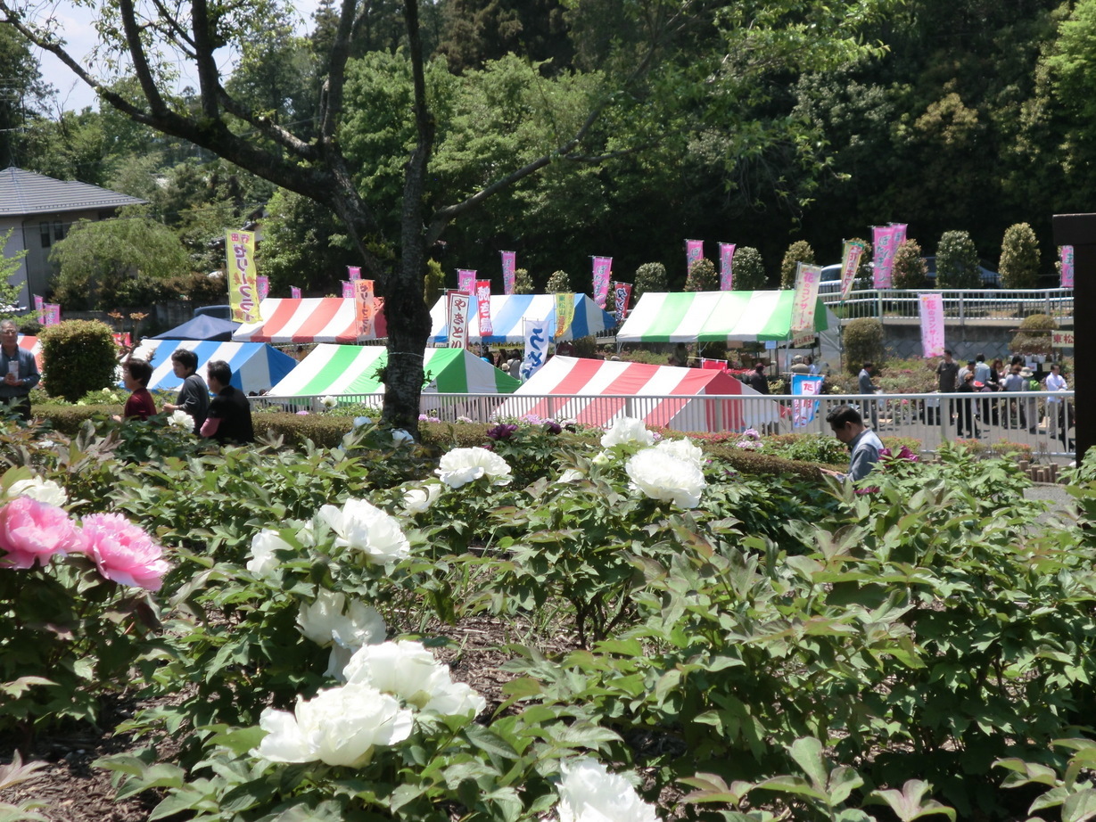 ��]�̕���