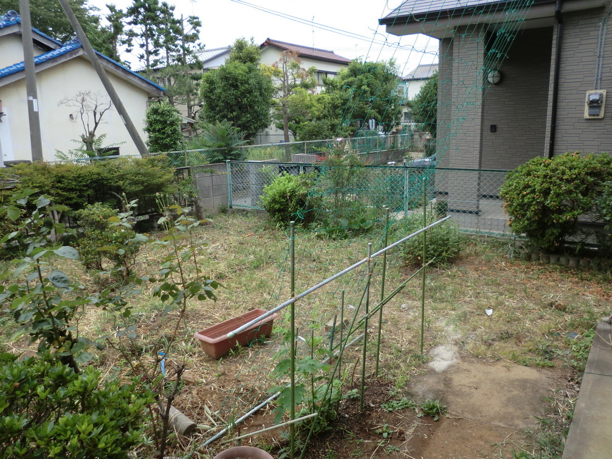 ��]�̕���