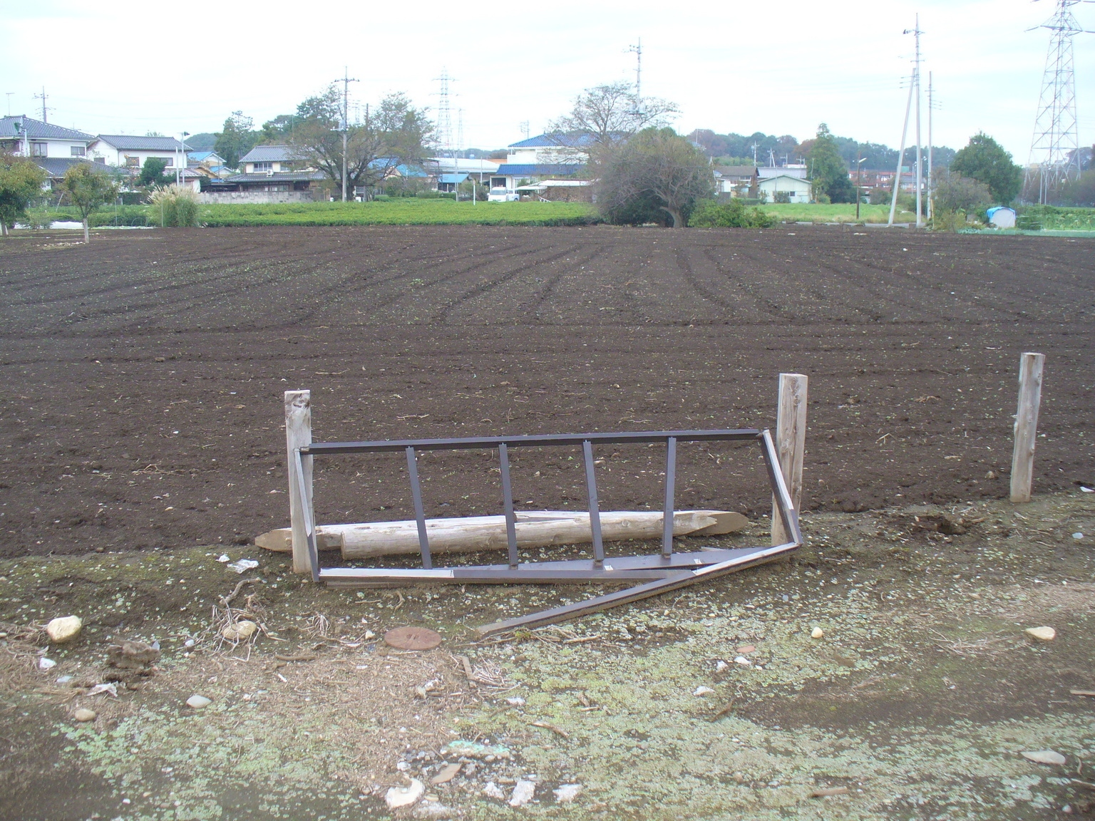 �s�A�j�X�g�@�������V�̂�����