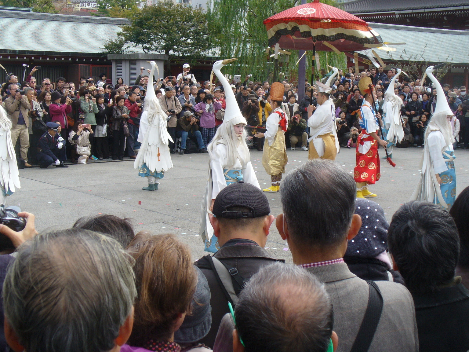 �s�A�j�X�g�@�������V�̂�����