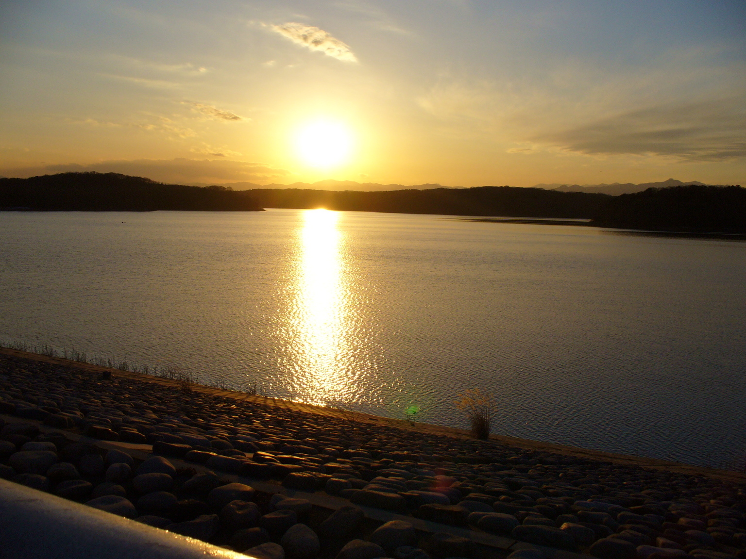 �s�A�j�X�g�@�������V�̂�����