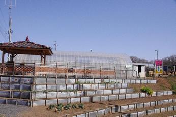 ���C�ȓ��� �v���[���g