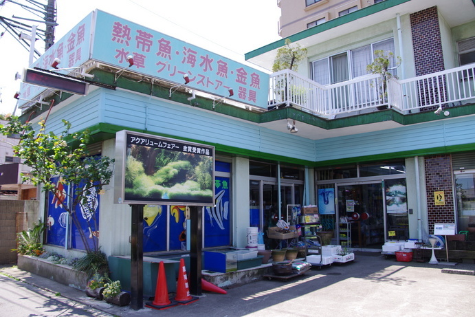 ���C�ȓ��� �v���[���g