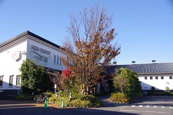 ���C�ȓ��� �v���[���g