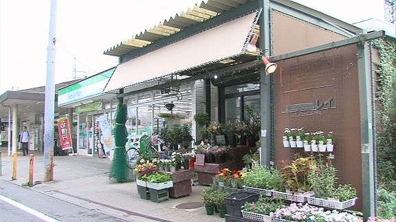 ���C�ȓ��� �v���[���g