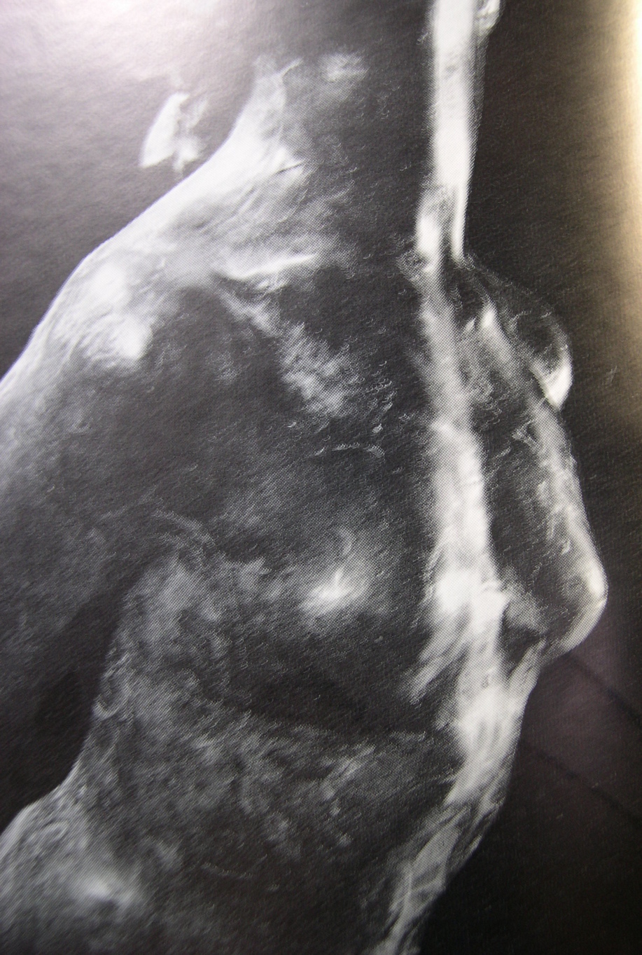 ������m�́u�G�L���v