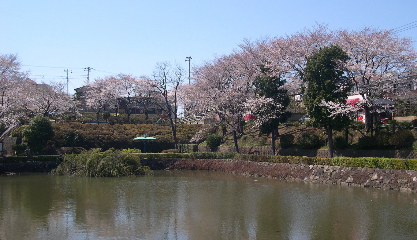 ������m�́u�G�L���v