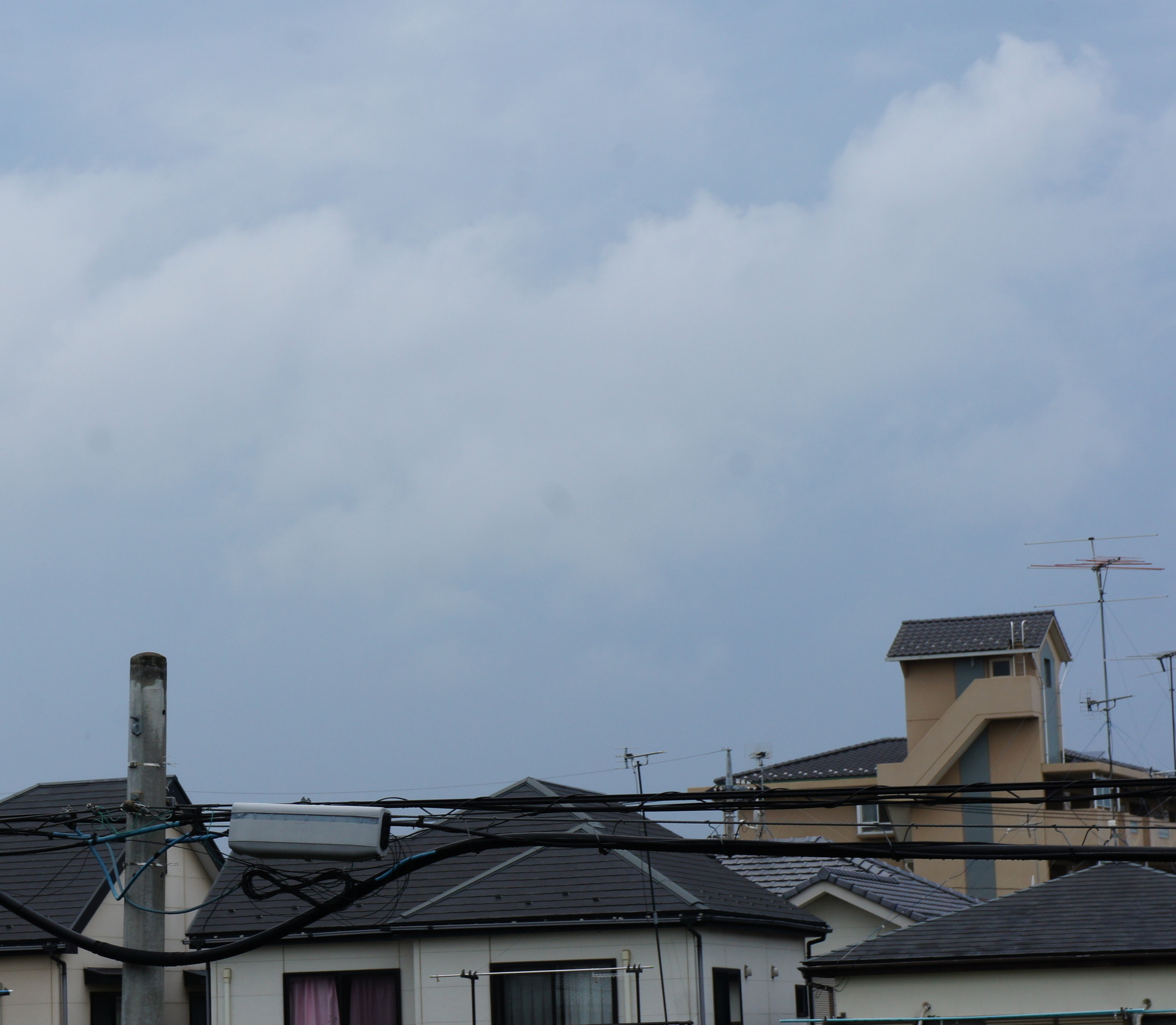 ������m�́u�G�L���v