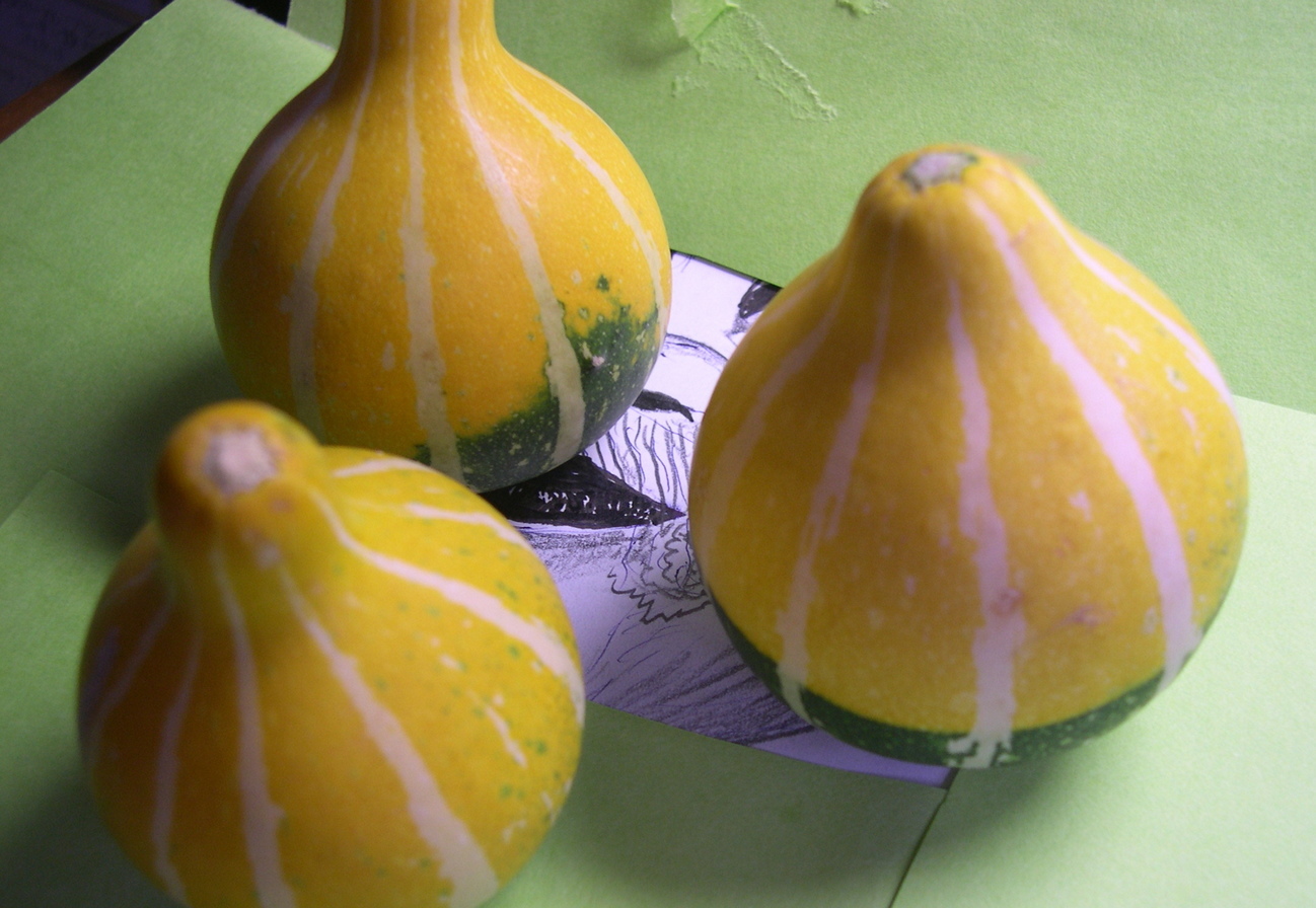 ������m�́u�G�L���v