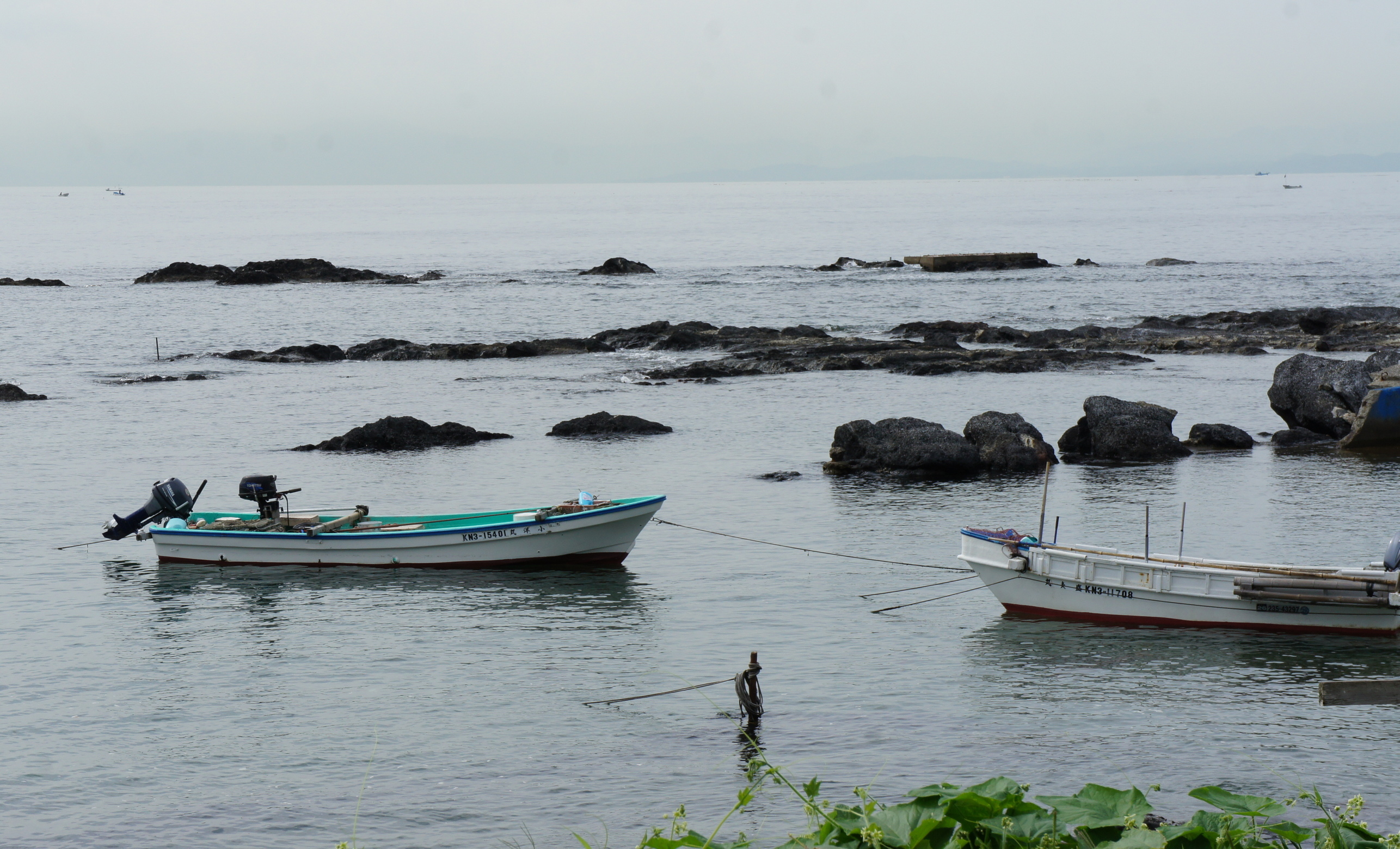 ������m�́u�G�L���v