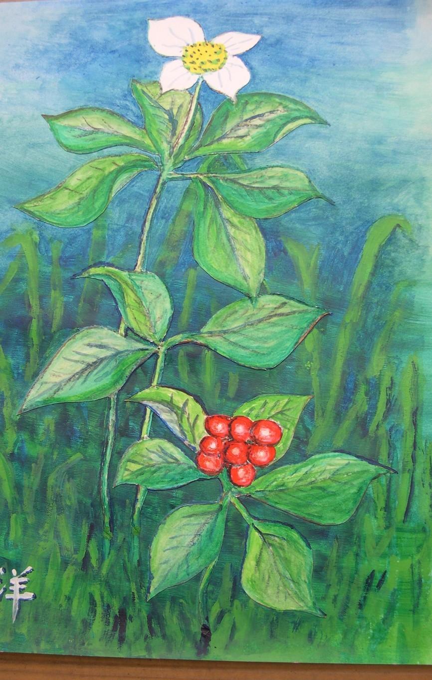 ������m�́u�G�L���v