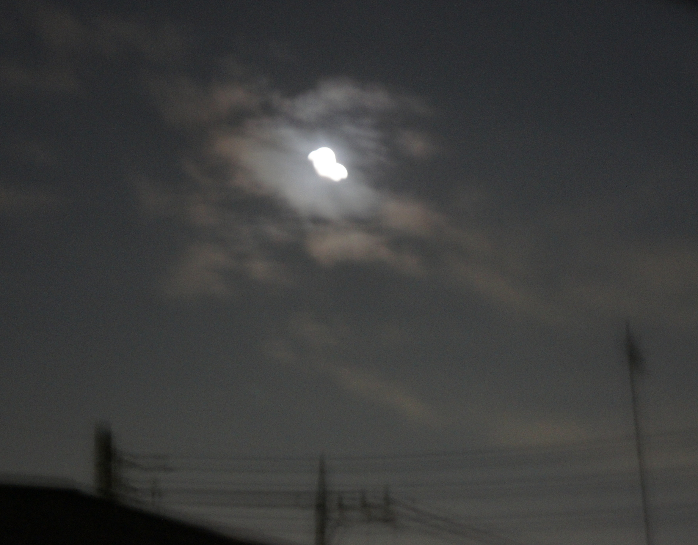 ������m�́u�G�L���v