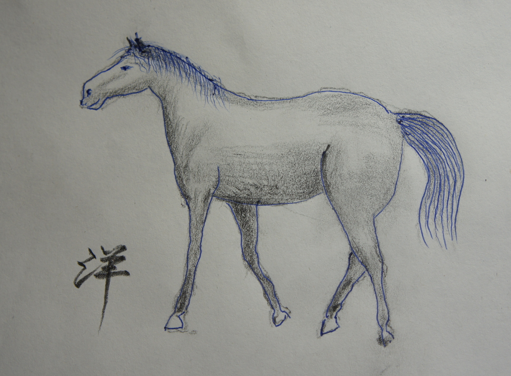 ������m�́u�G�L���v