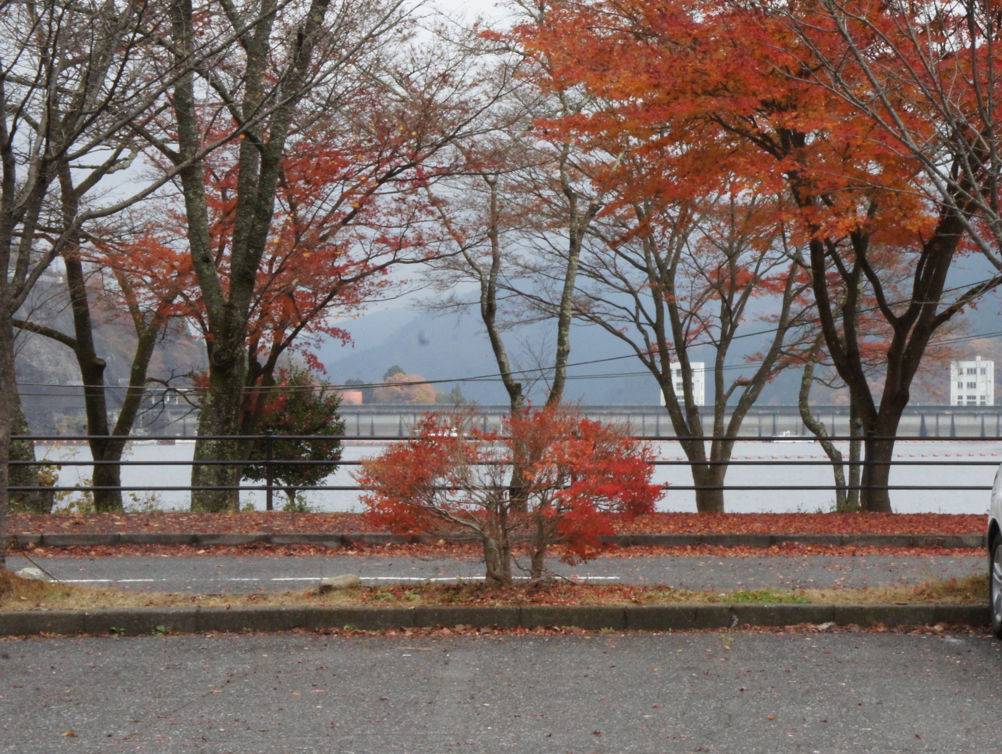 ������m�́u�G�L���v