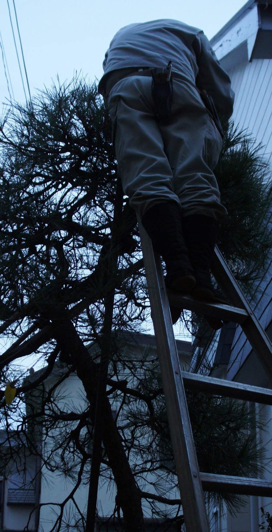 ������m�́u�G�L���v