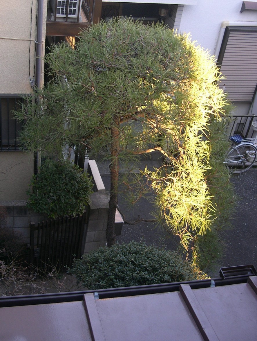 ������m�́u�G�L���v