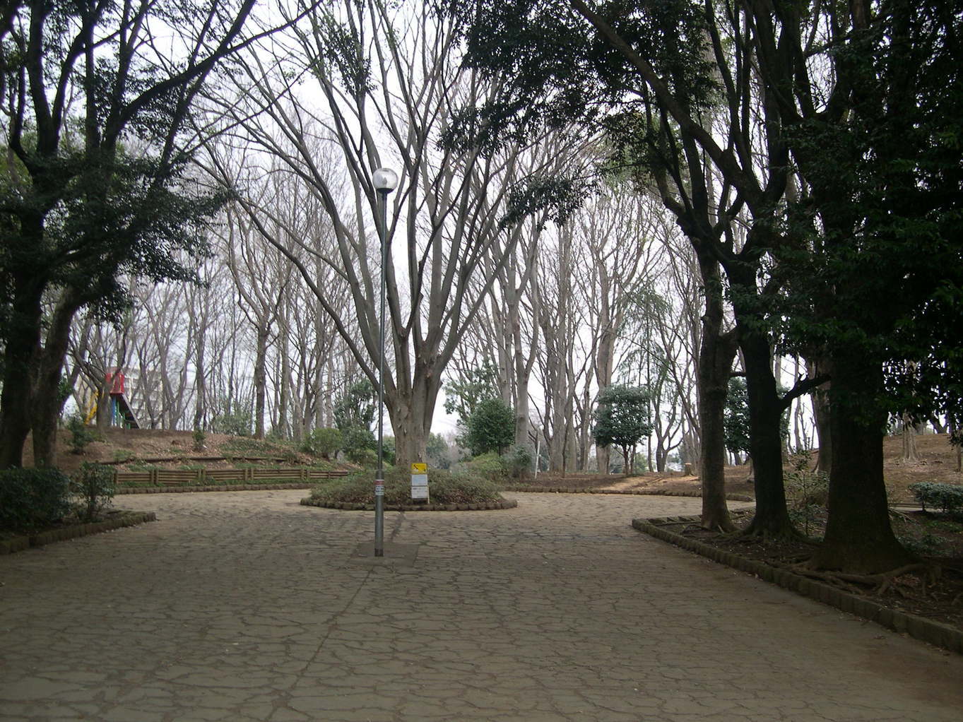 ������m�́u�G�L���v