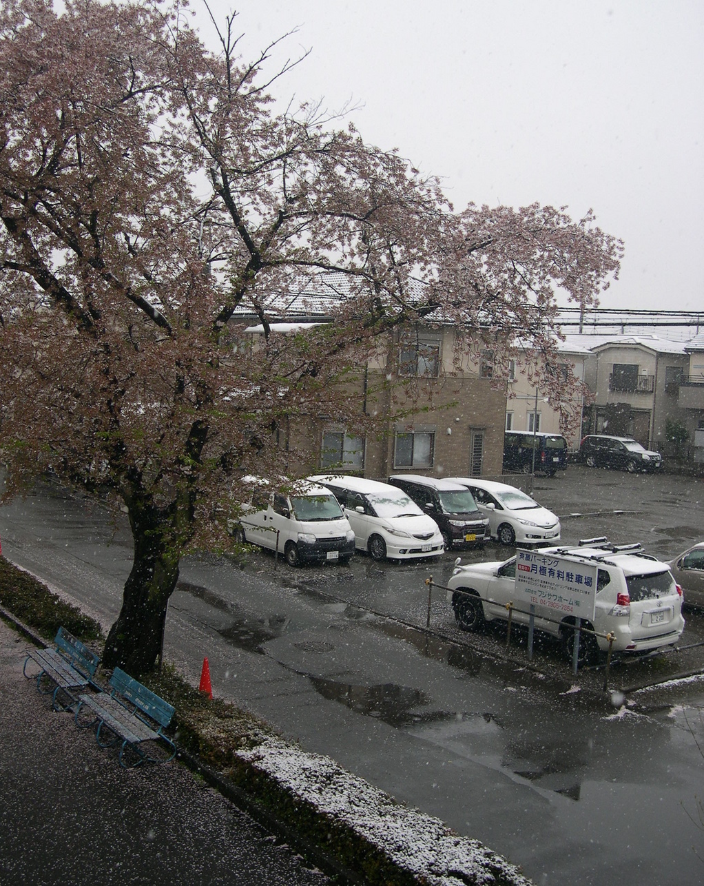 ������m�́u�G�L���v