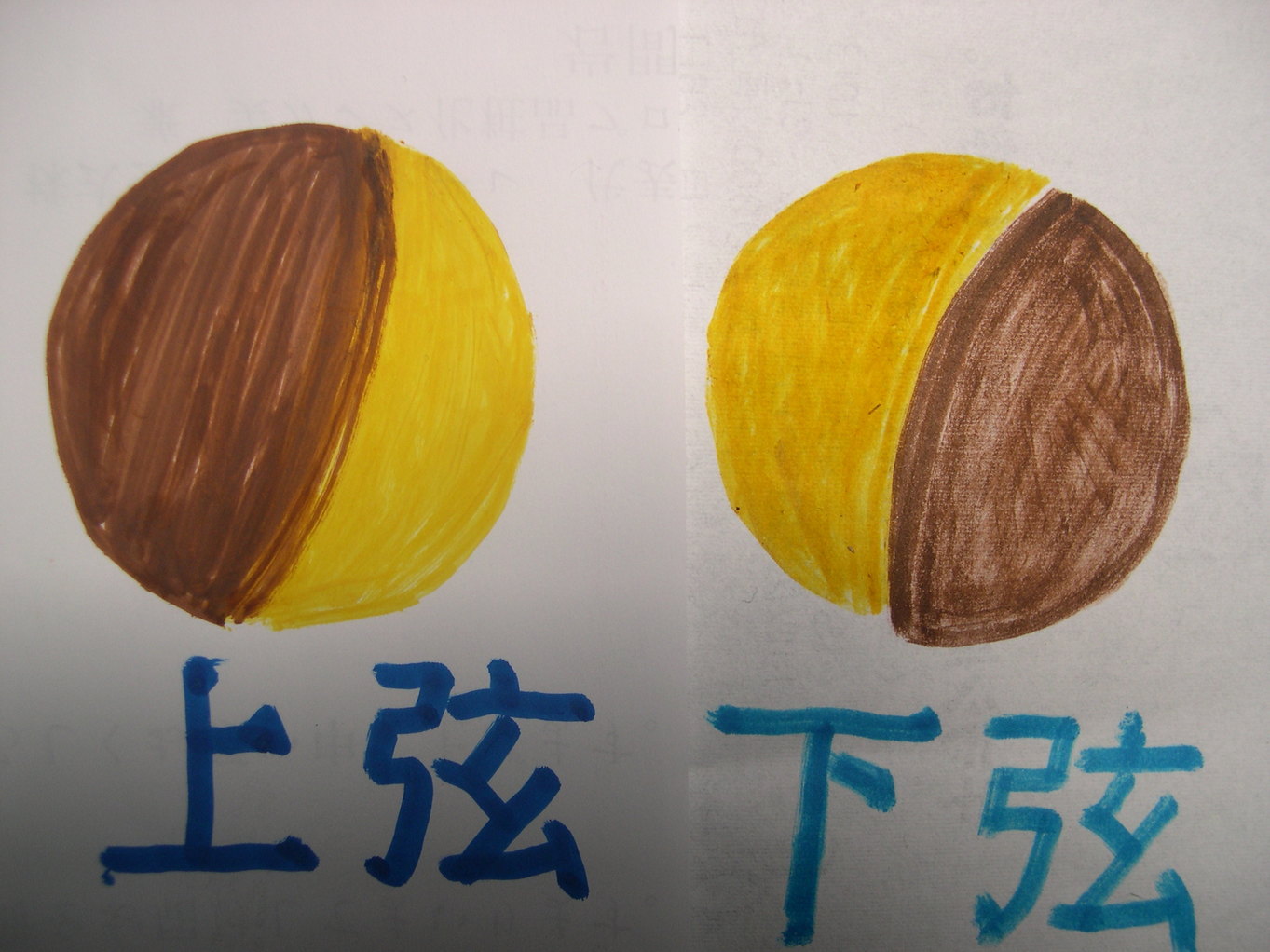 ������m�́u�G�L���v