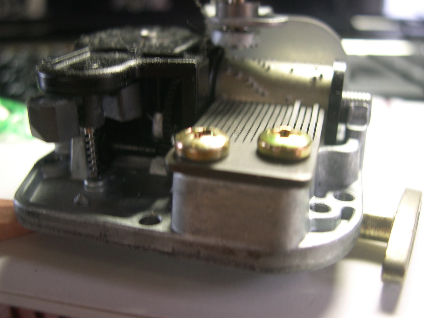 ������m�́u�G�L���v