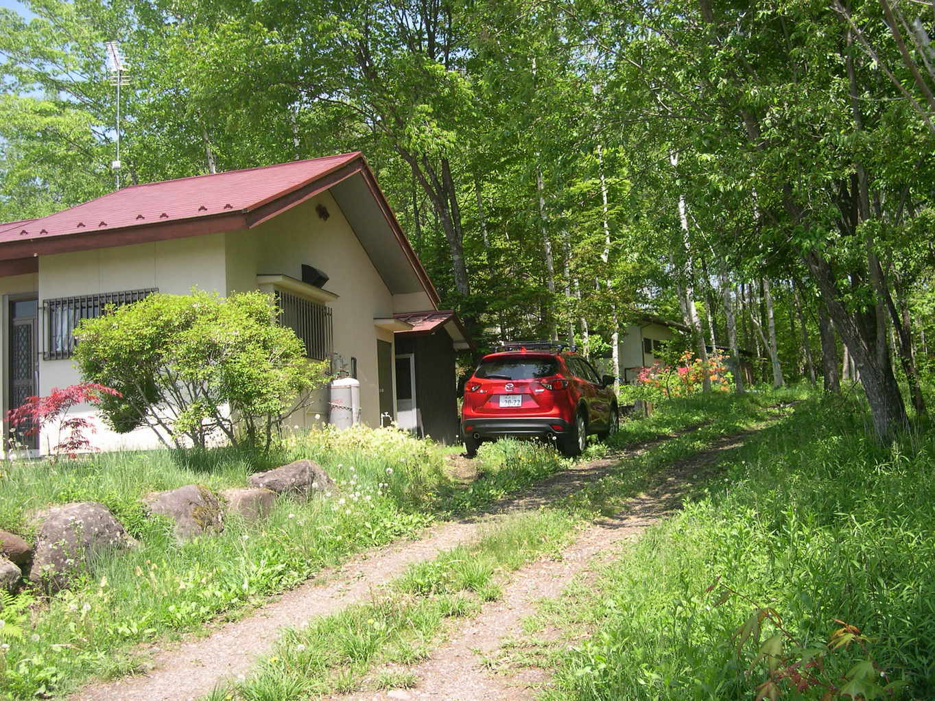 ������m�́u�G�L���v