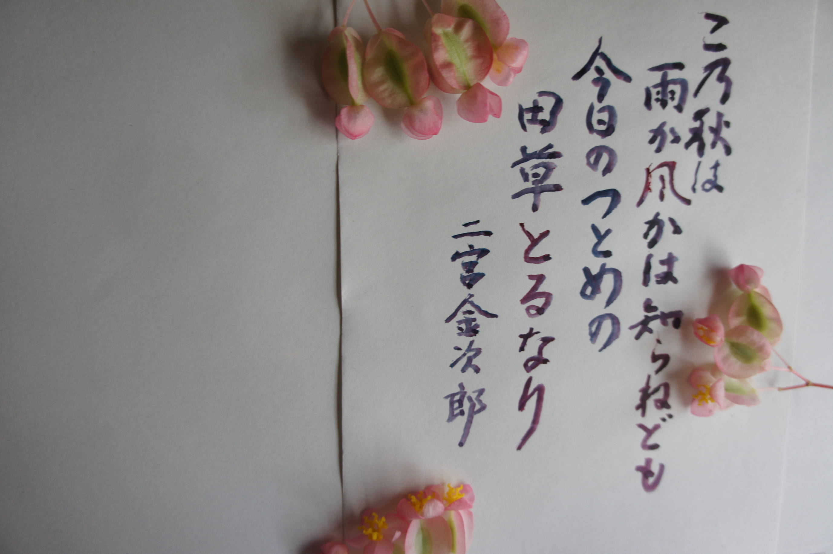 ������m�́u�G�L���v