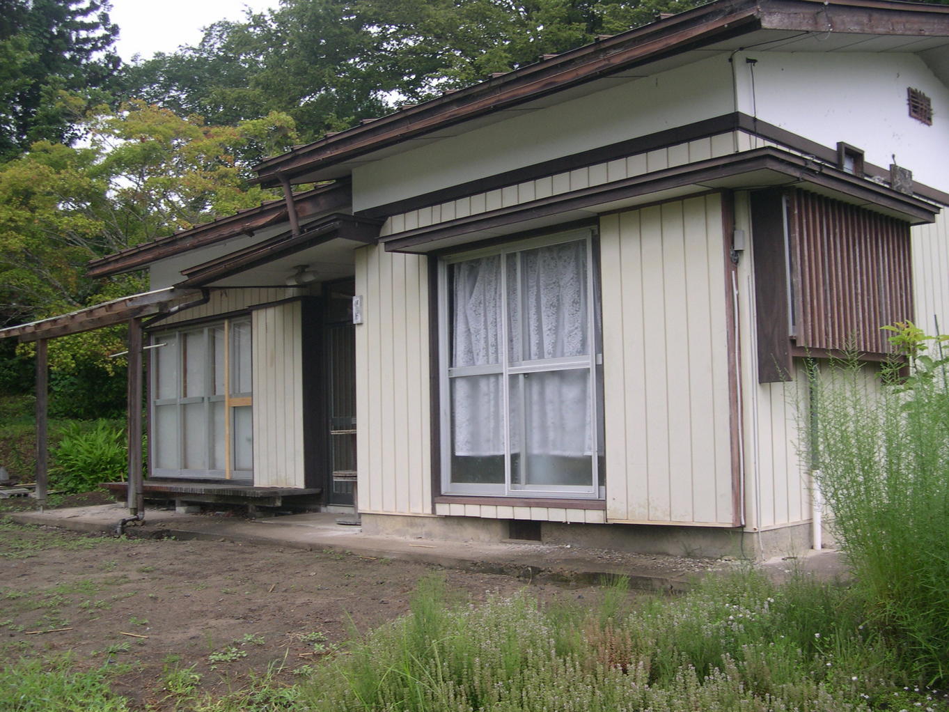 ������m�́u�G�L���v