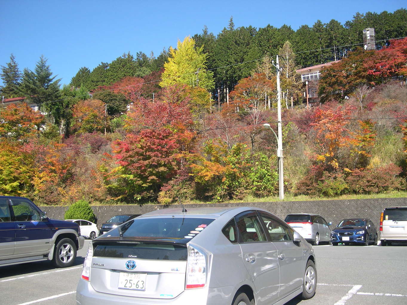 ������m�́u�G�L���v