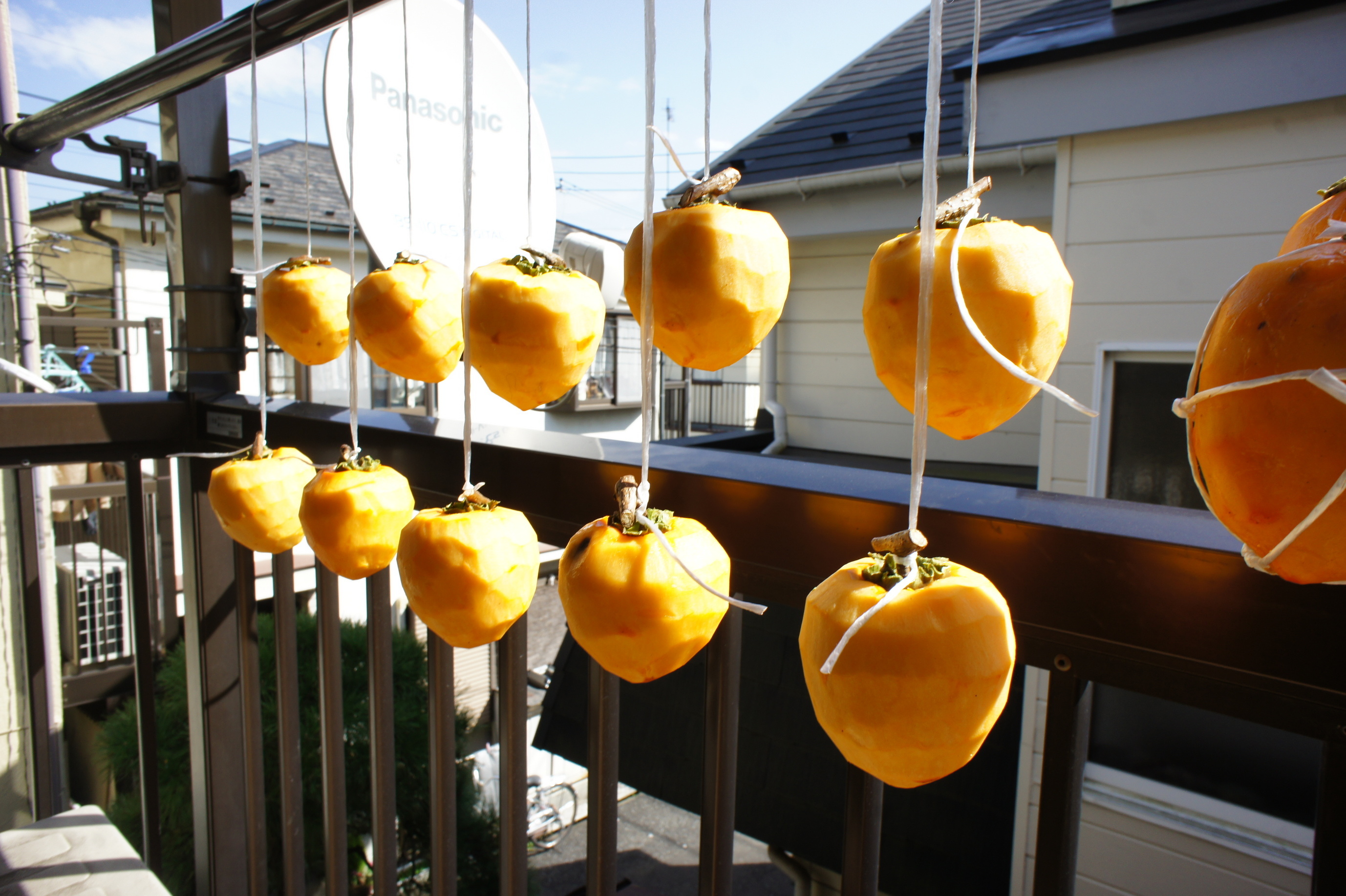 ������m�́u�G�L���v