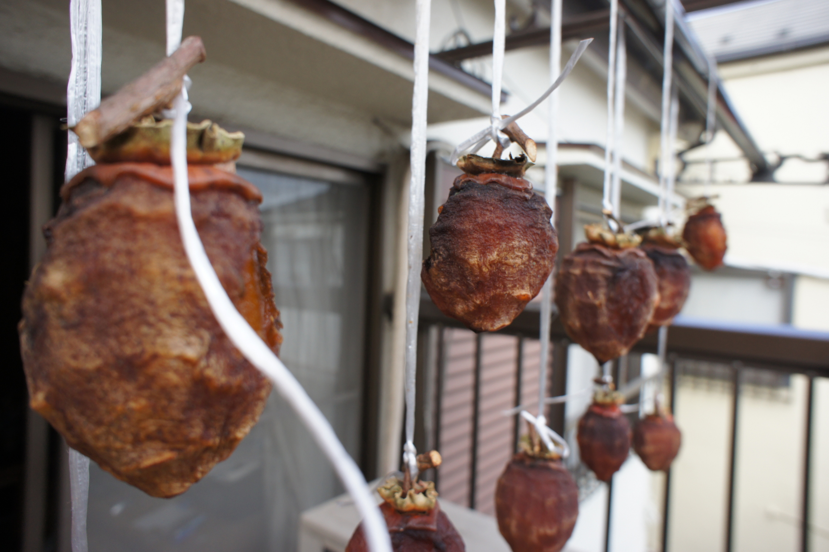 ������m�́u�G�L���v