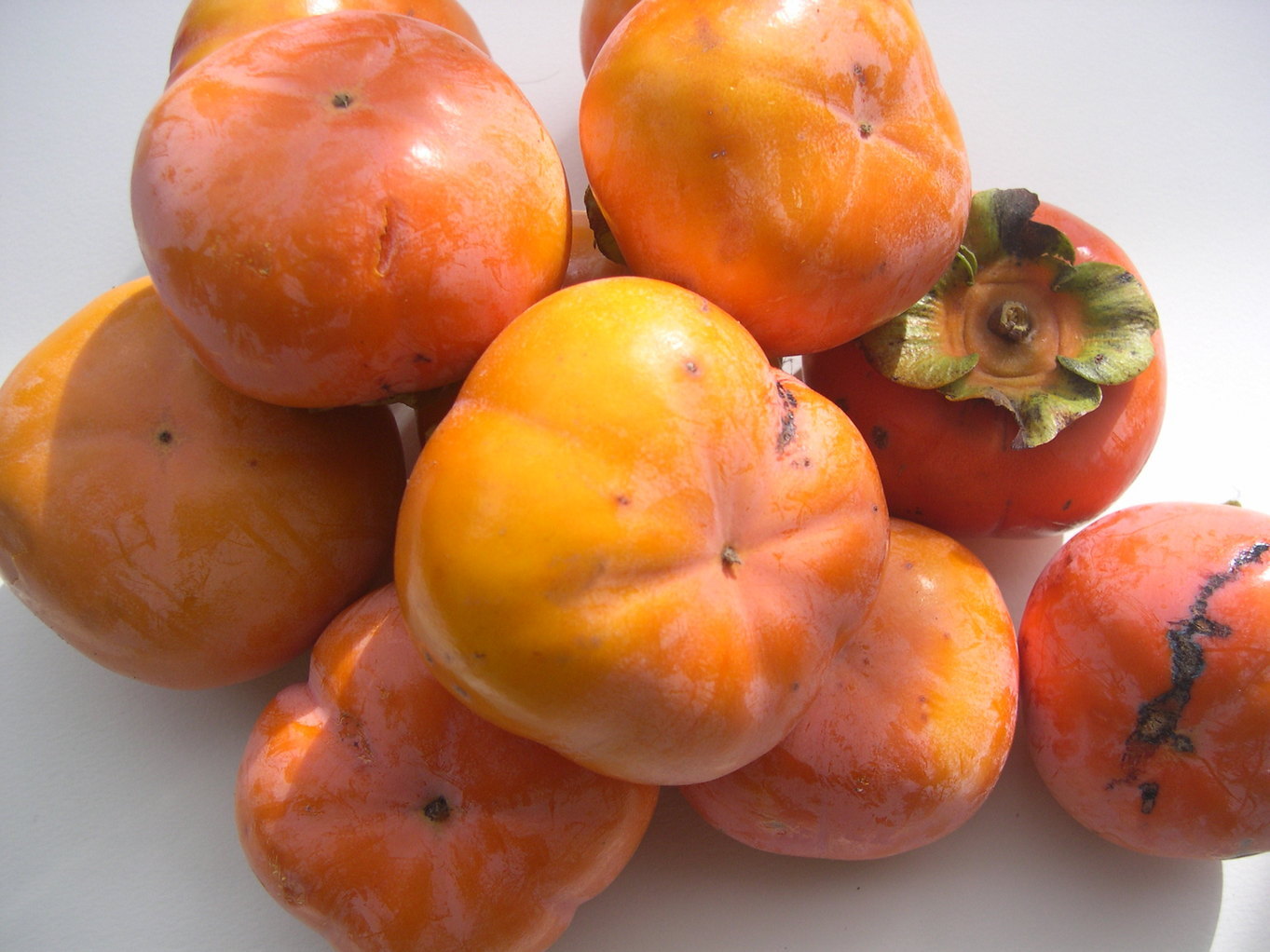 ������m�́u�G�L���v