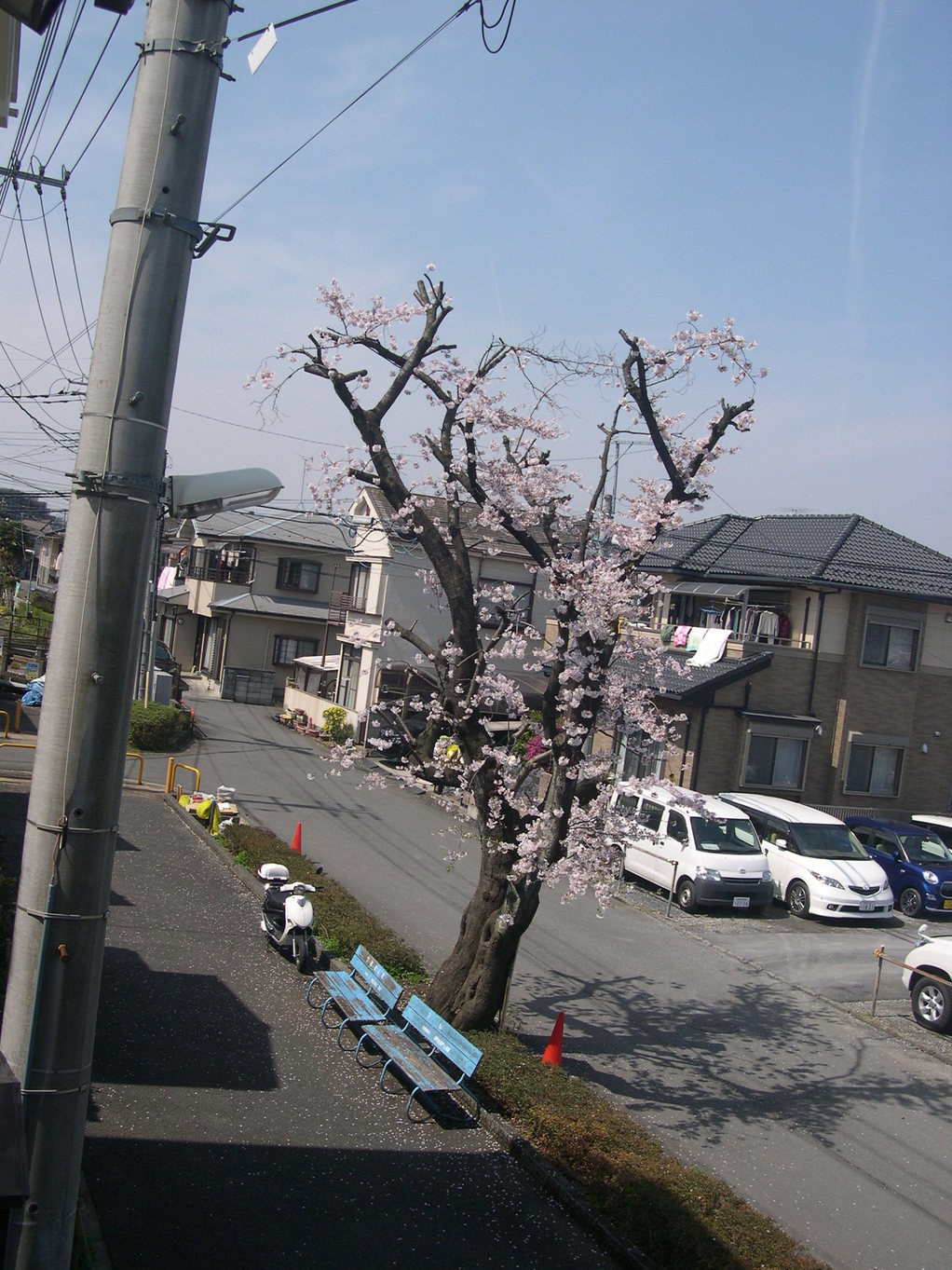 ������m�́u�G�L���v