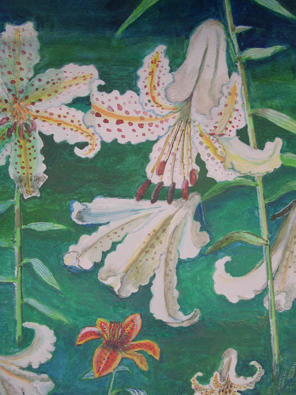 ������m�́u�G�L���v