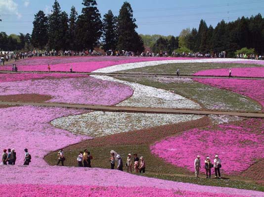 �����ȗ��̎ʐ^