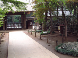 �����ȗ��̎ʐ^