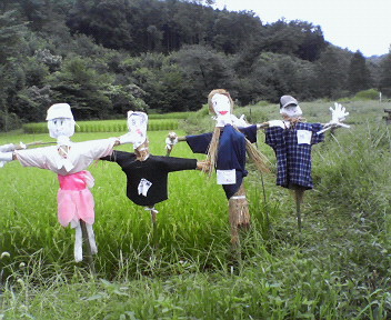 ����ǂ��䂭 in iruma