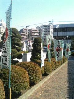 ����ǂ��䂭 in iruma