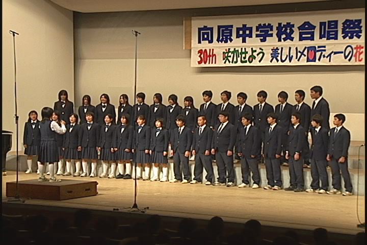 ����ǂ��䂭 in iruma