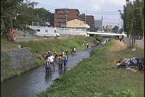 ����ǂ��䂭 in iruma